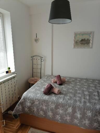 Anka Apartman 斯梅代雷沃 外观 照片