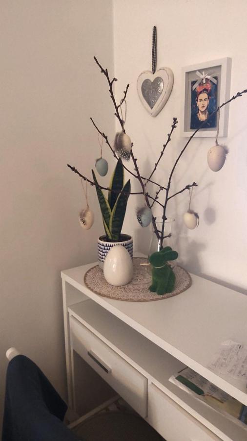 Anka Apartman 斯梅代雷沃 外观 照片