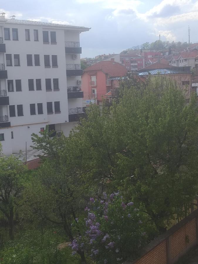 Anka Apartman 斯梅代雷沃 外观 照片